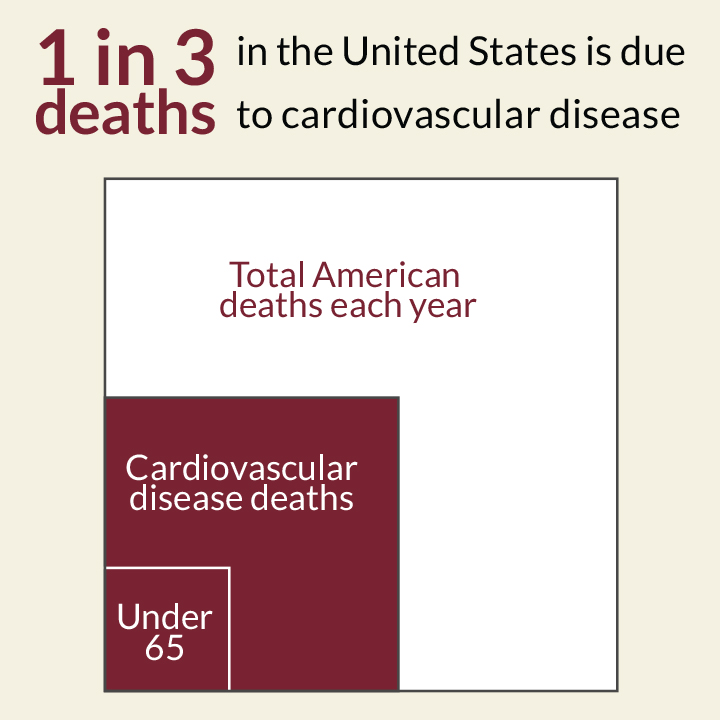 1 in 3 deaths in the United States is due to cardiovascular disease.